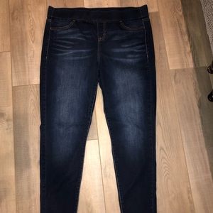 Lane Bryant Jeggings